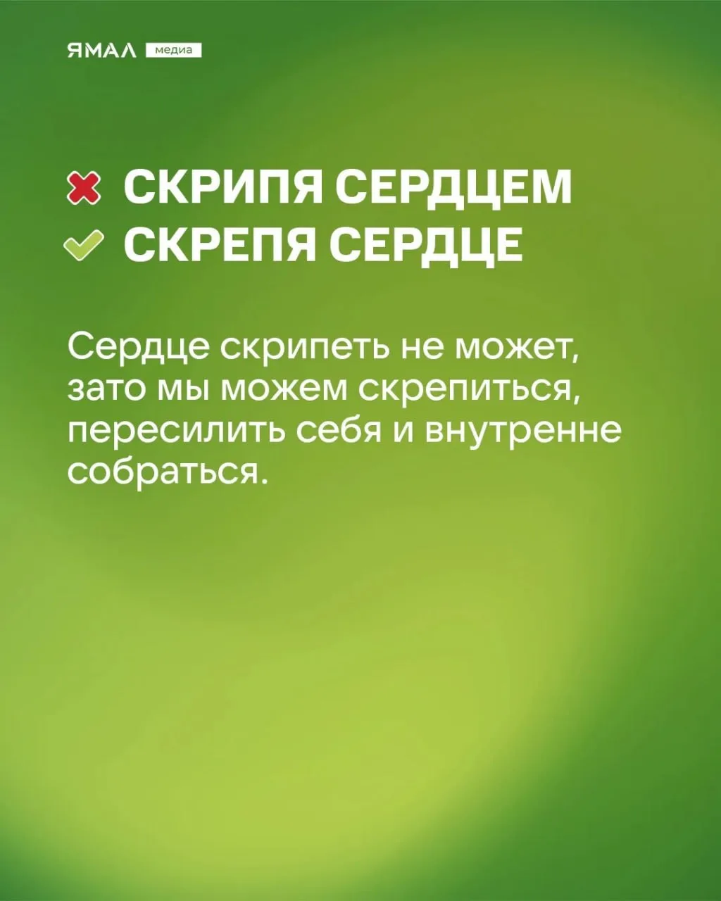 🫣 «Скрипя сердцем, он довёл себя до белого коления…»  Мы знаем, что вы говорите хотя бы одну из этих