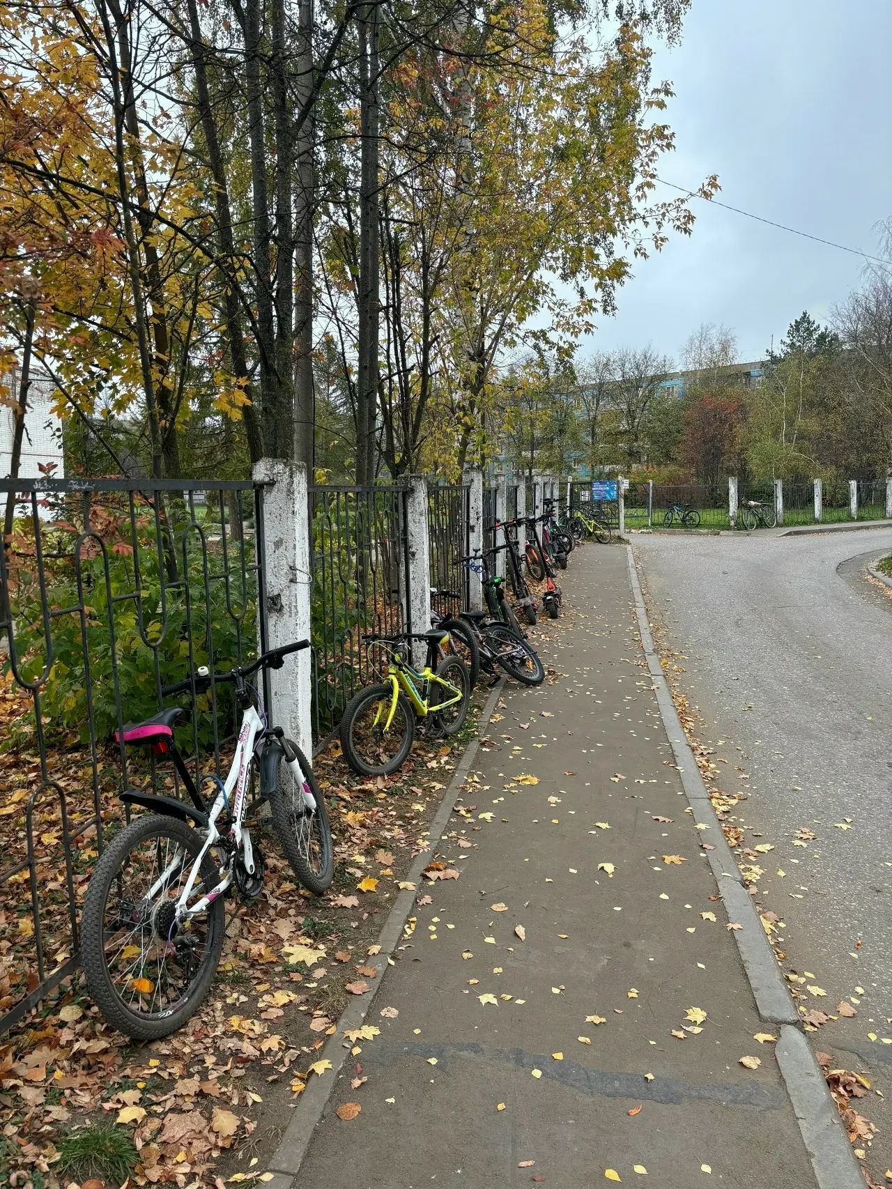 🍂Ездить в школу на велике для многих детей удобно. Пока позволяет погода - супер!