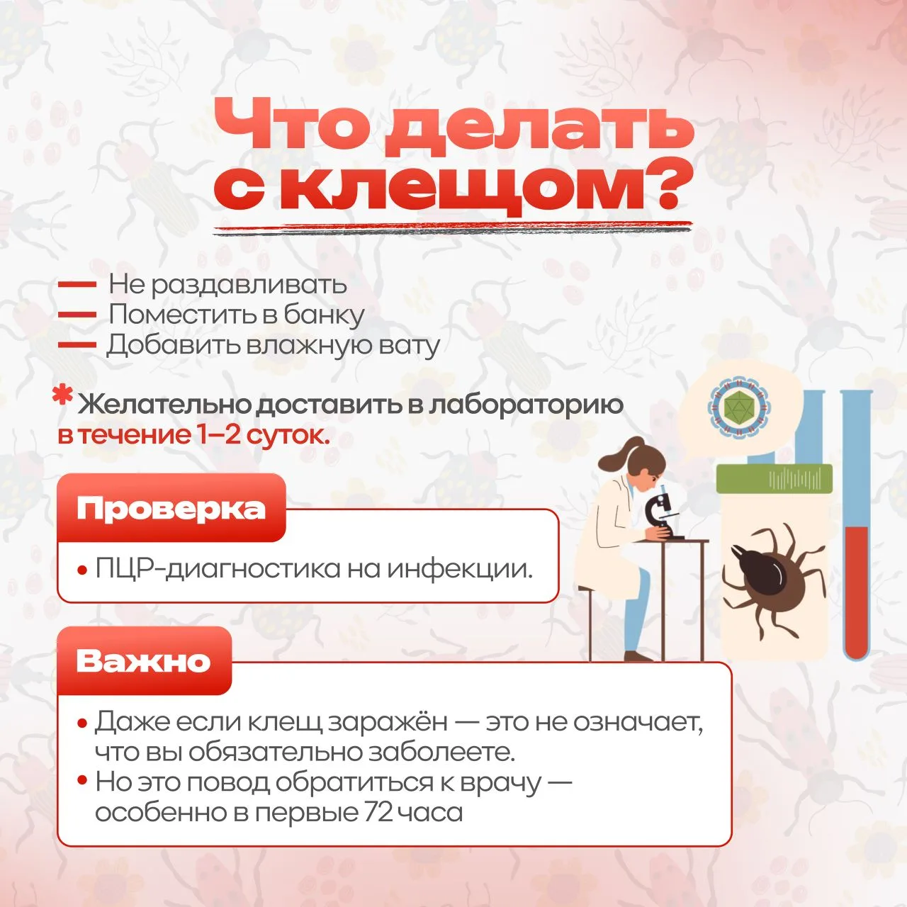 🕷️ Весна — время прогулок, солнца и… незваных гостей в траве. Клещи уже проснулись и поджидают момен