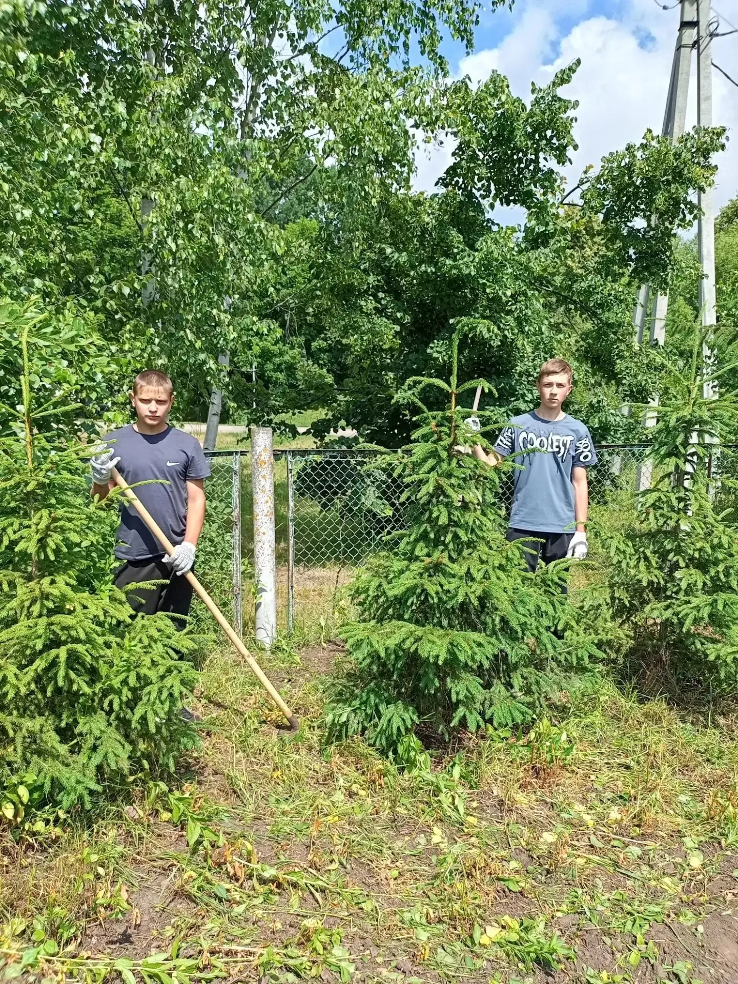 Школьное лесничество «Берёзка»🌳🌳