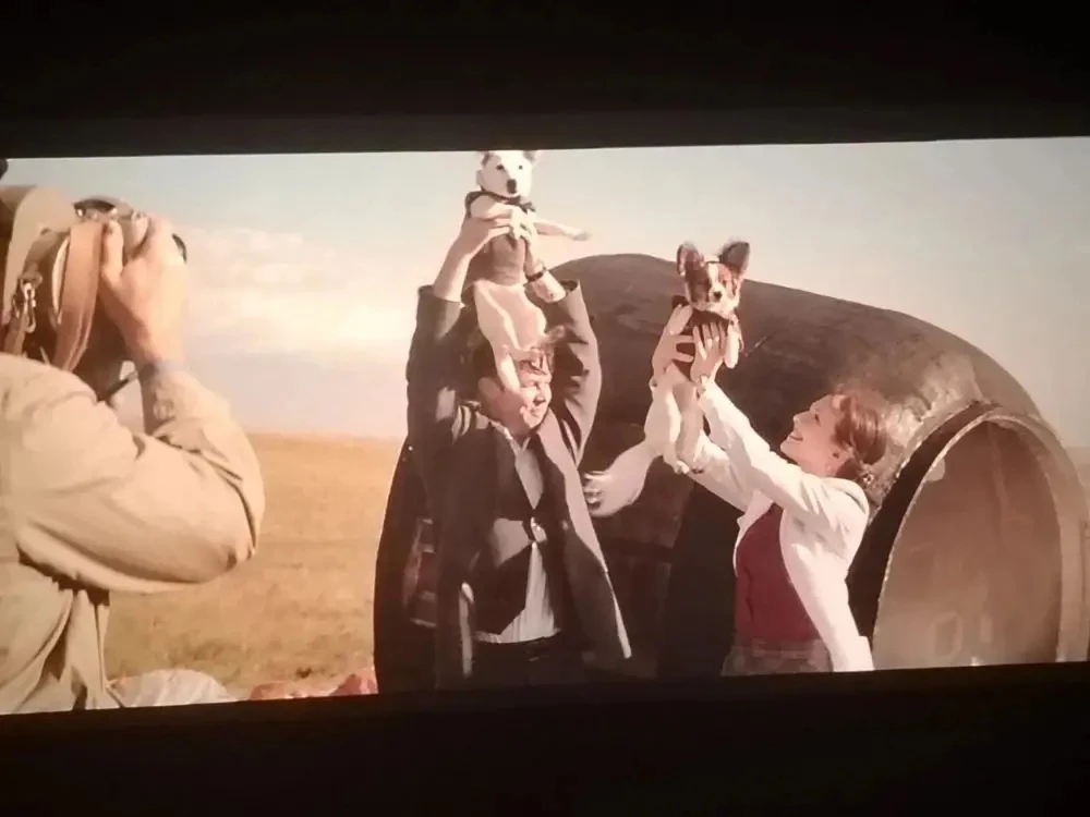 5 "В" рекомендует фильм "Моя собака - космонавт"🚀  19 августа 1960 года собаки Белка и Стрелка стали