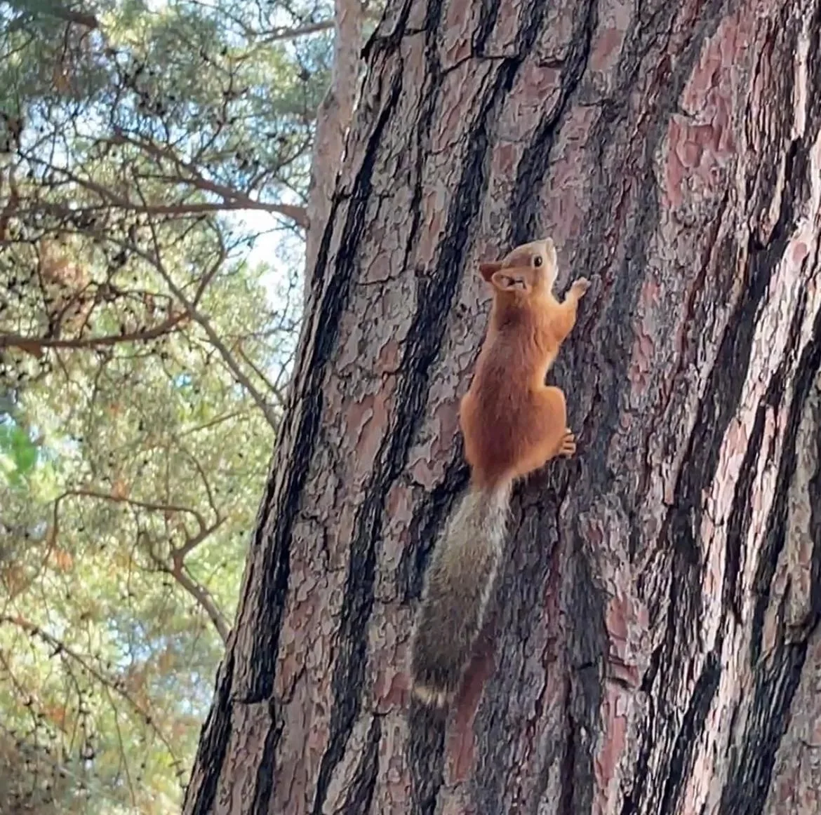 Доброе утро! ☀️