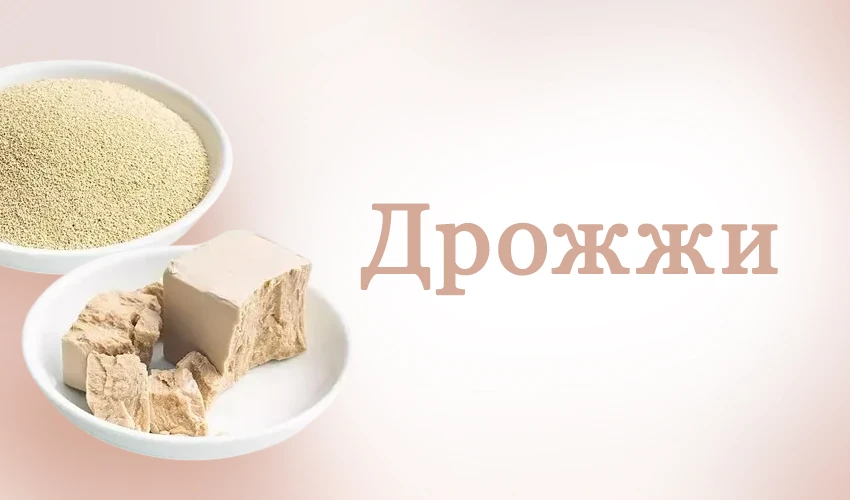 Друзья, сегодня снова говорим о куличах.🧁 Дрожжи - живая движущая сила этого теста! 🍞
