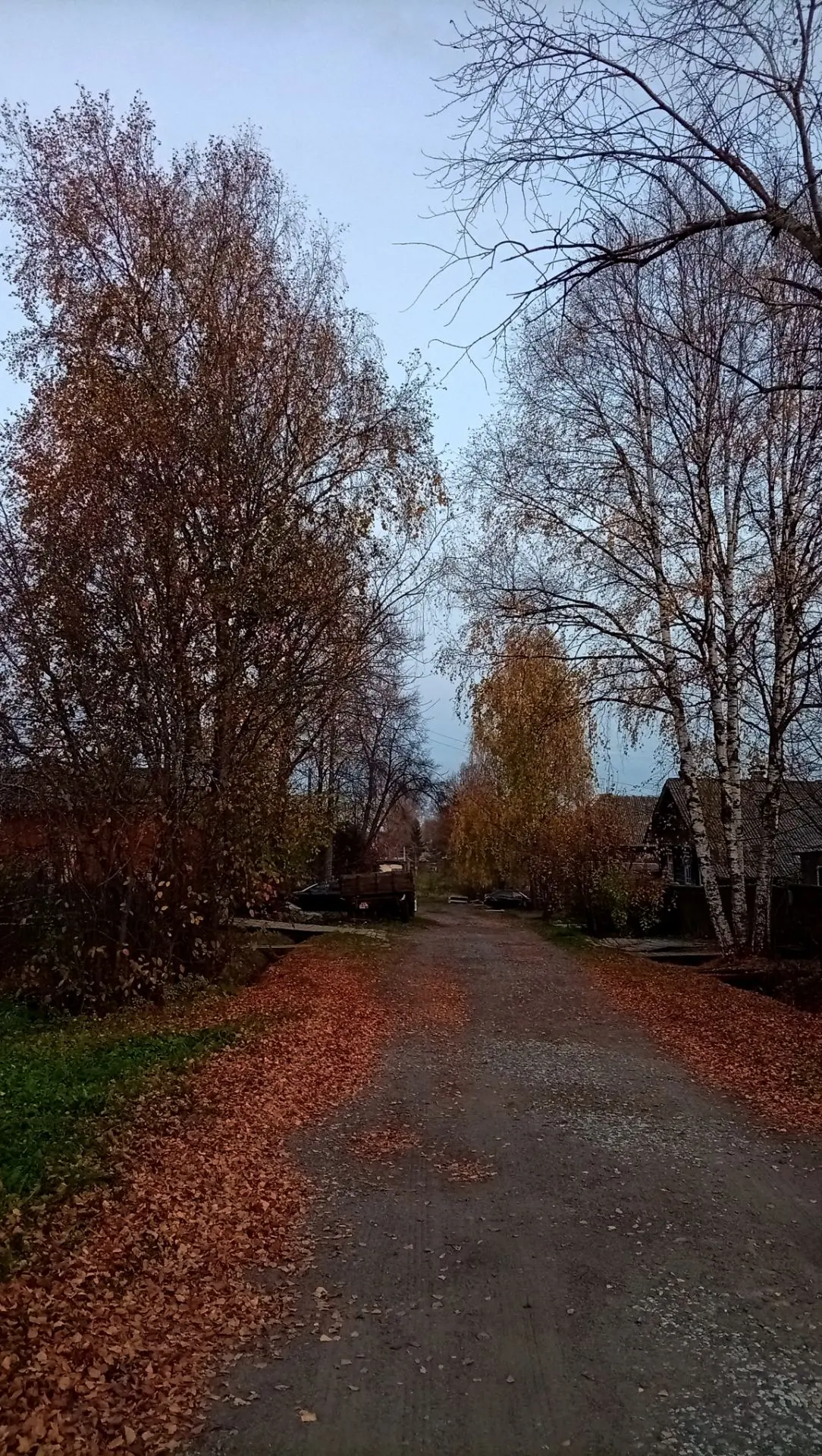 Доброе утро 🌿 Чудесного настроения!