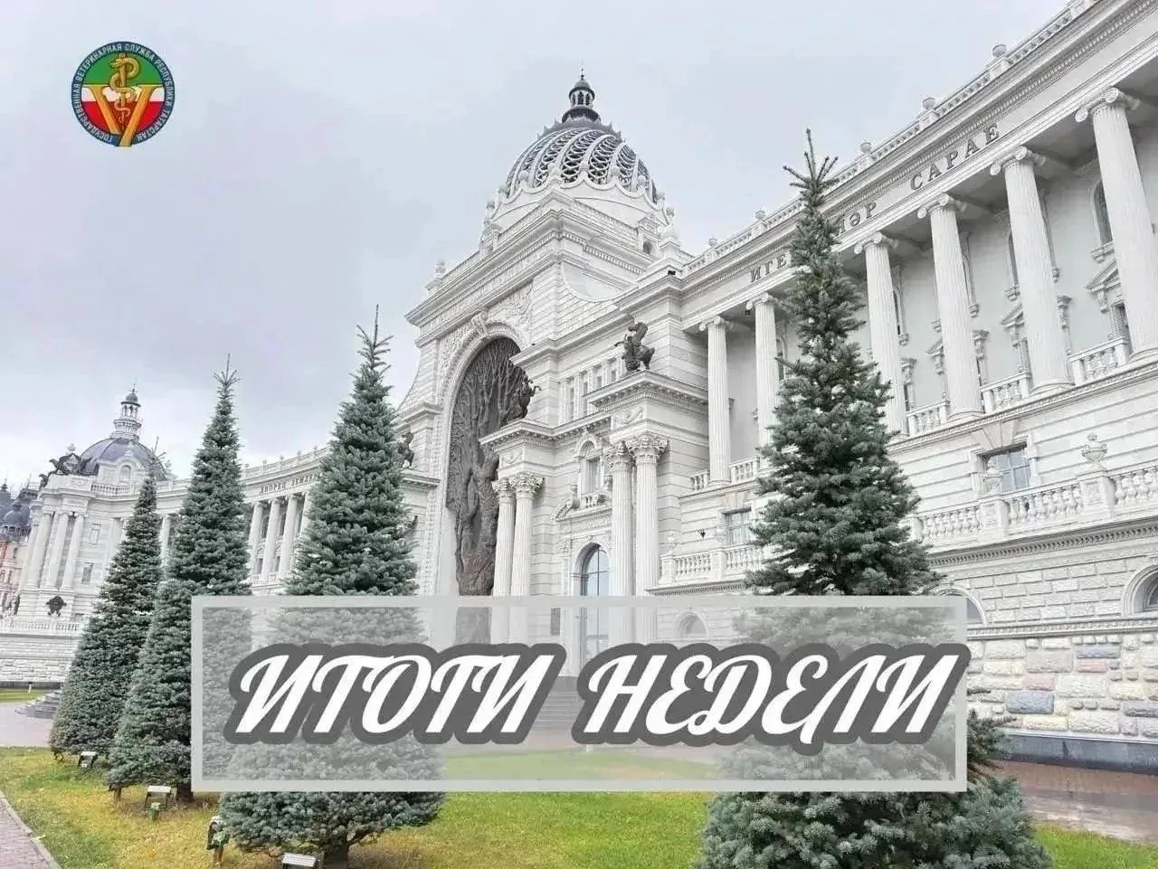 Итоги деятельности ГУВ КМ РТ за неделю.  

🔸 Более 68 тысяч собак получили официальный статус! http