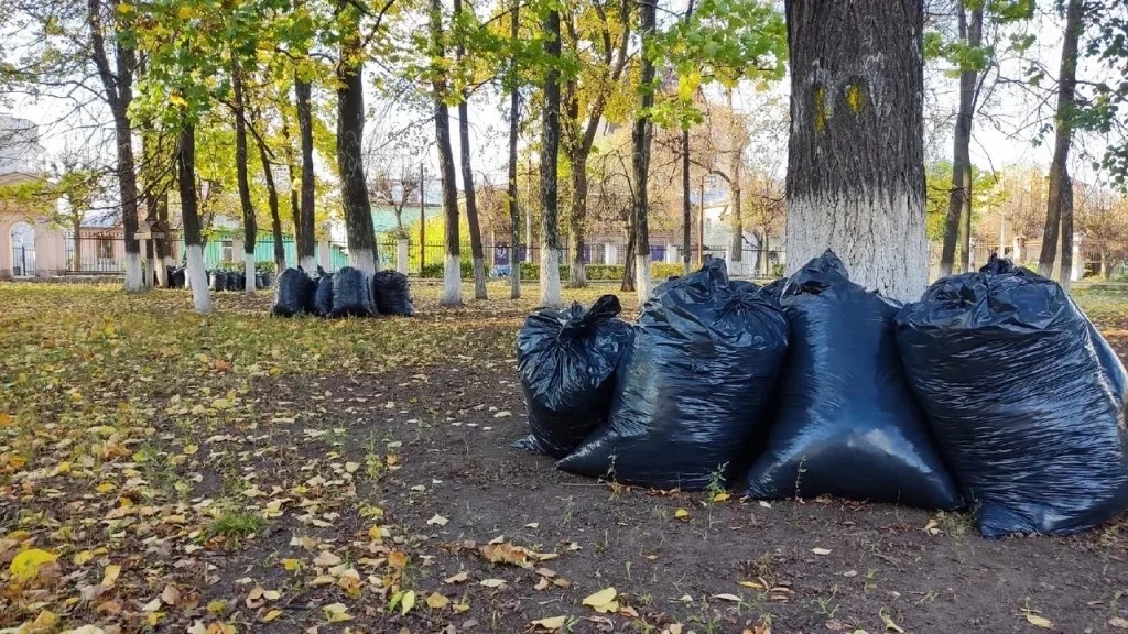 1 октября в Рязани начинается осенний месячник по благоустройству города
