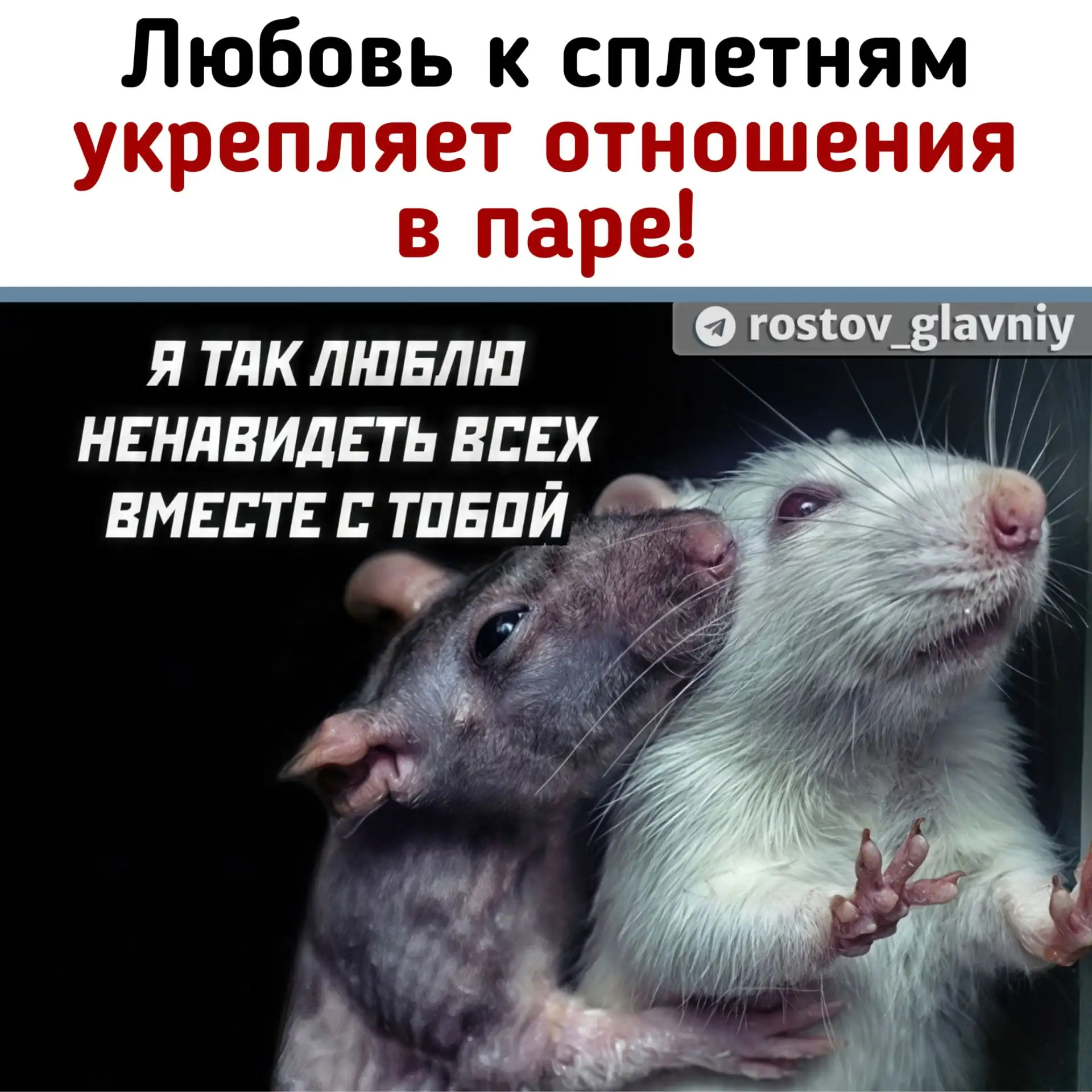 Психологи: совместные сплетни сближают пары