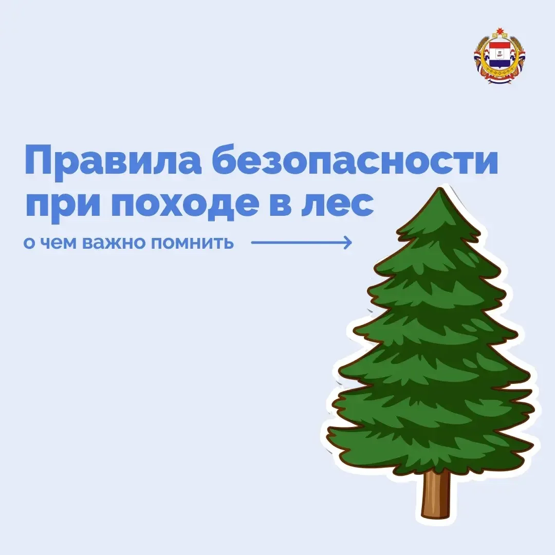 Изображение 1 к публикации «Республика Мордовия»