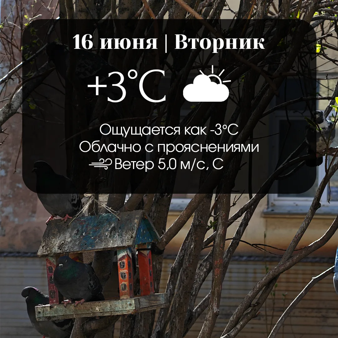 16 июня в Норильске без осадков, видимость 50 км и более, ветер северо-западный  3-8  м/с, местами п