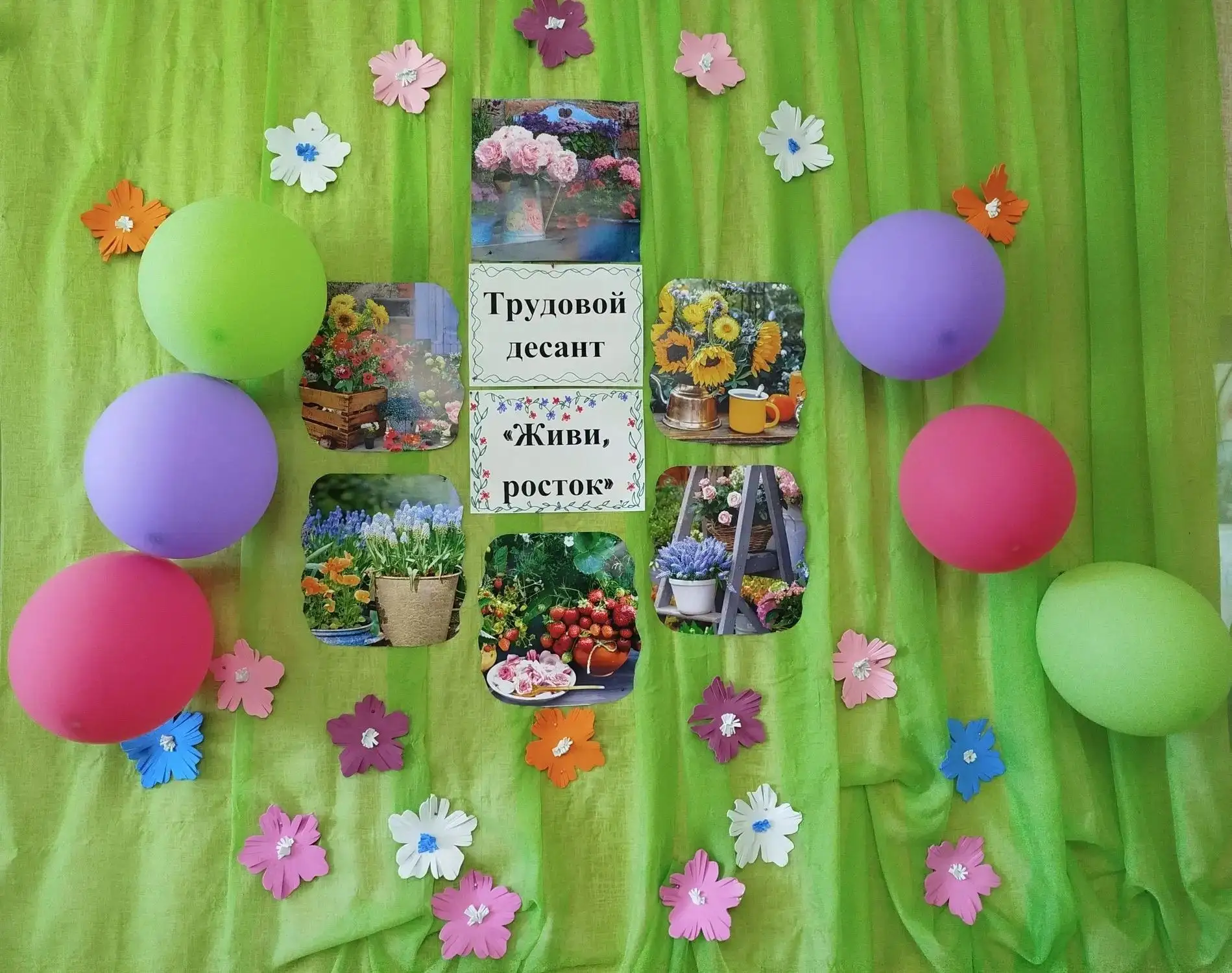 Живи,росток!🌱