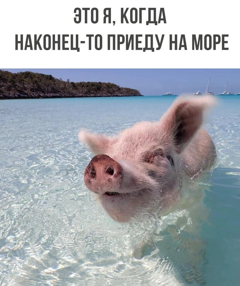 ЭТО Я, КОГДА НАКОНЕЦ-ТО ПРИЕДУ НА МОРЕ: ОТМЫВАЮСЬ ОТ БЫТОВУХИ, РАБОТЫ И СТРЕССА!