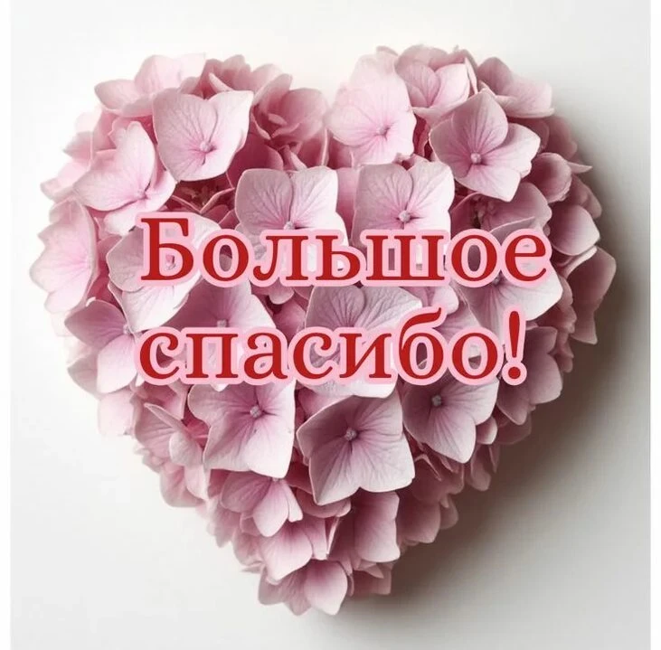 Дорогие друзья!