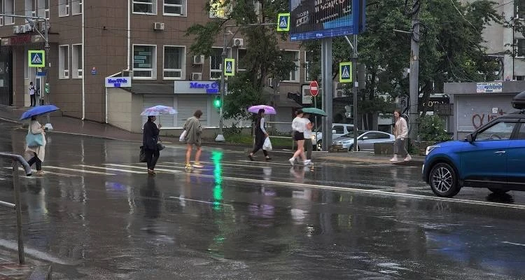 🌧 До Приморья в конце этой рабочей недели доберется новый циклон, который принесет в край дожди и мо