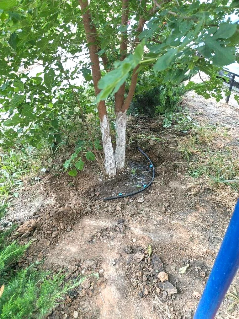 К новости «🌳 Сохраняем красоту и свежесть зеленых насаждений!»