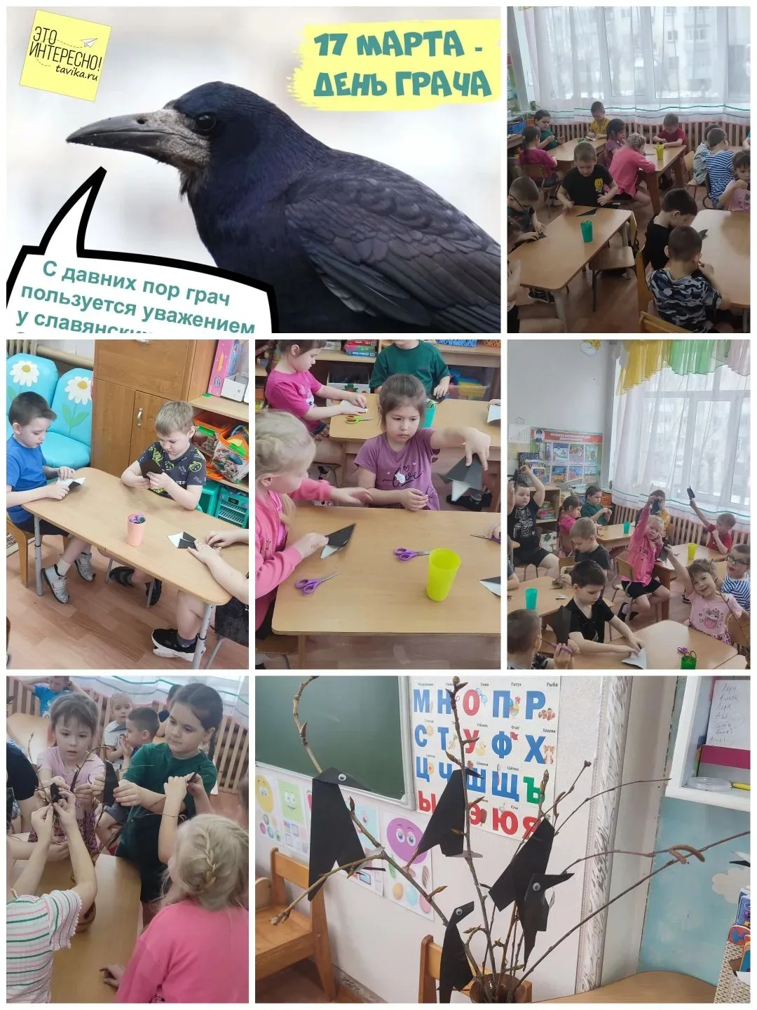 "Увидел грача- весну встречай"