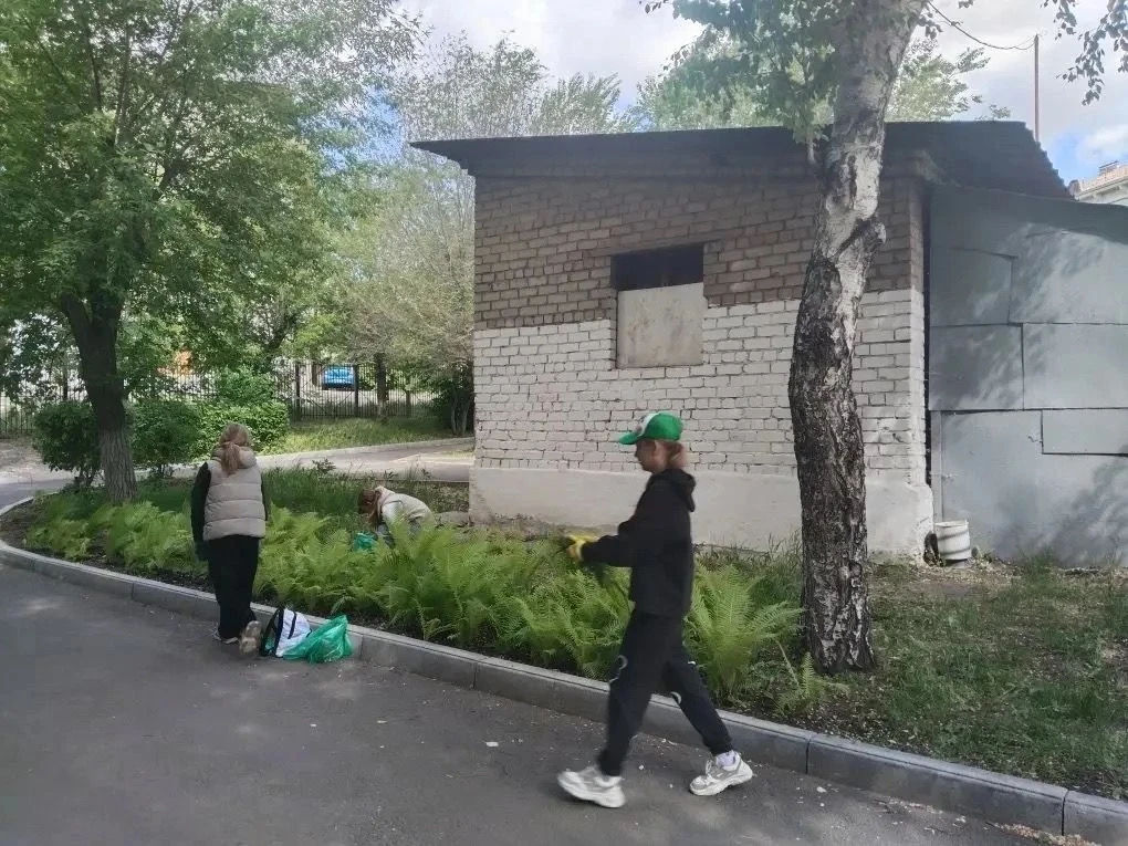 В начале июня лицеисты приняли участие в акции "Зеленый двор", приуроченной к одному из...