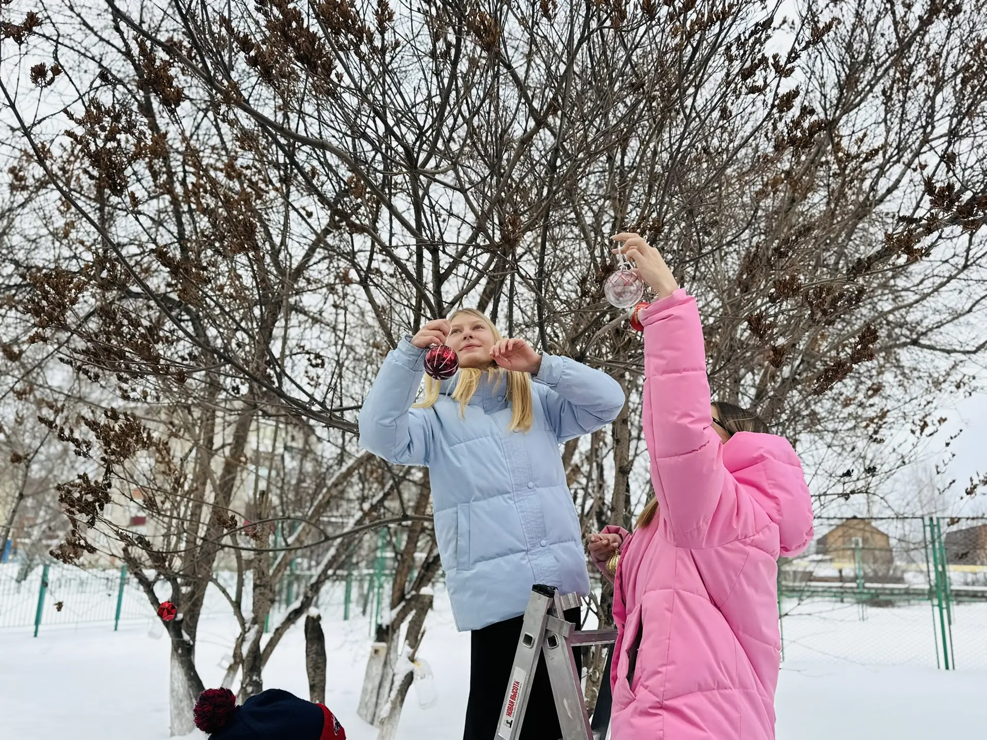 Мы создаем сказку вместе! 🎄✨  Друзья! Продолжается украшение территории любимой гимназии к самому во