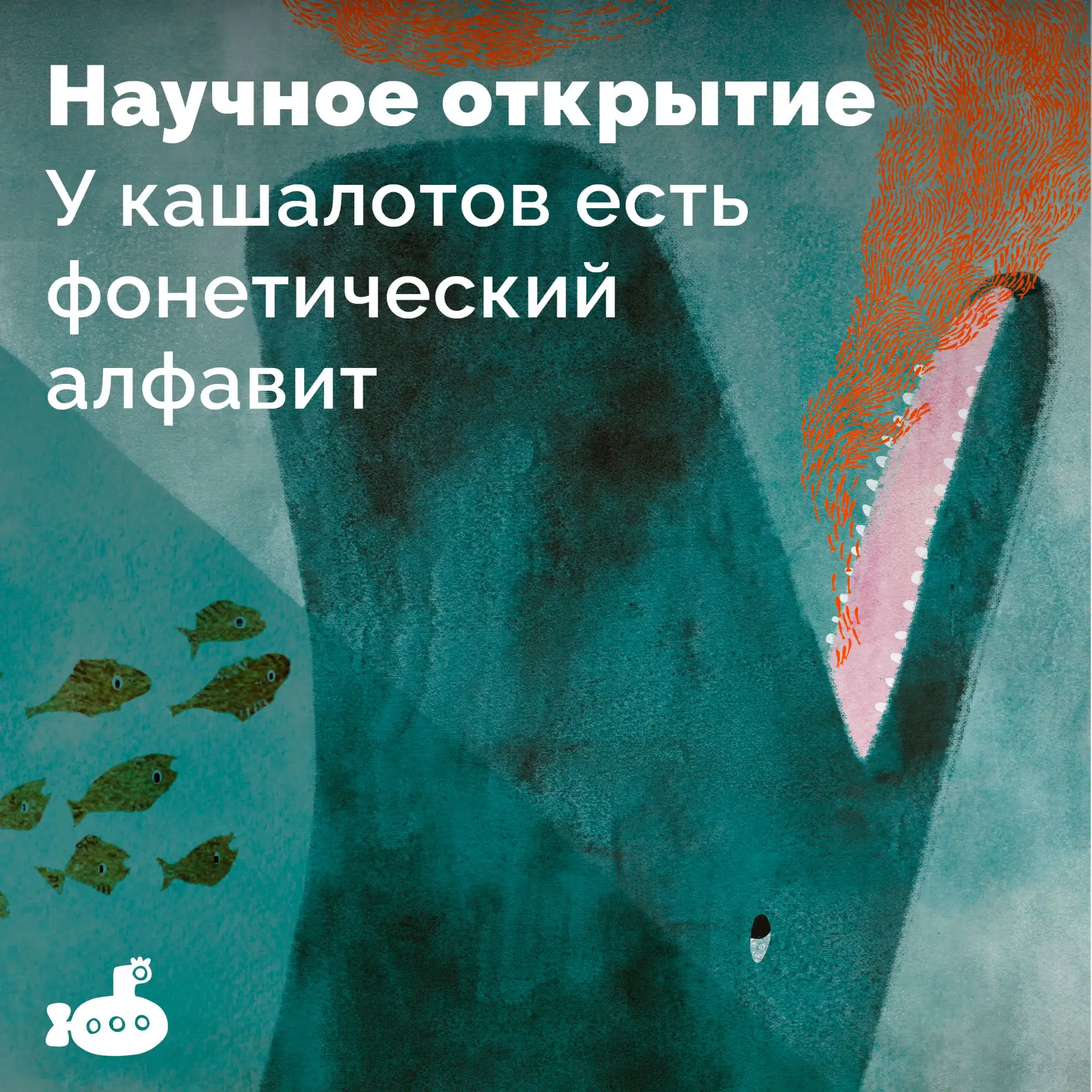 🐳 Сможем ли мы когда-нибудь по-дружески поболтать с китами?

Кашалоты общаются с помощью сложных се