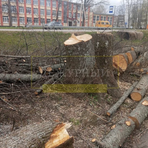 Толмачево. что происходит? жители возмущены  #письмо_дежурному  Дежурный по Ленобласти в  TG | Max |