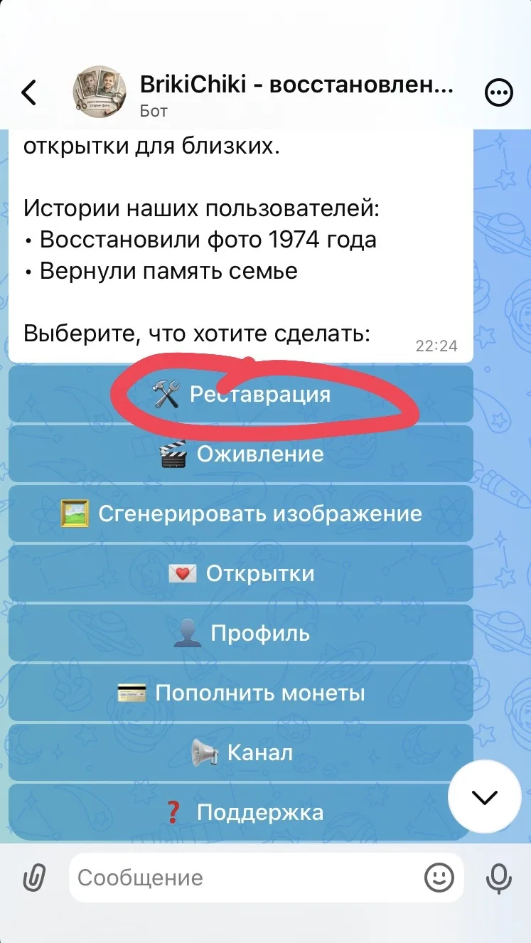КАК ПОЛЬЗОВАТЬСЯ БОТОМ?