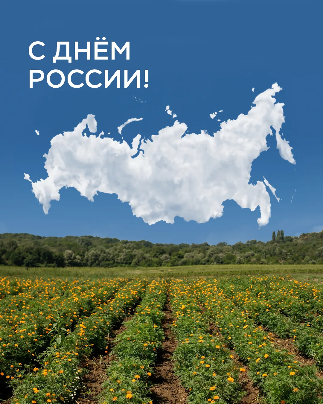 Россия — наша опора, родная земля.

И для нас это не просто высокие слова.
Мы выращиваем редкие, кра