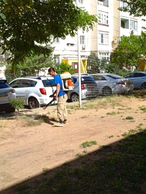 К новости «🛡 Забота о каждом уголке вашего двора! 🌿»