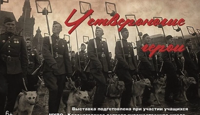 На площадке Свободненского краеведческого музея имени Н.И. Попова (город Свободный, Аму...