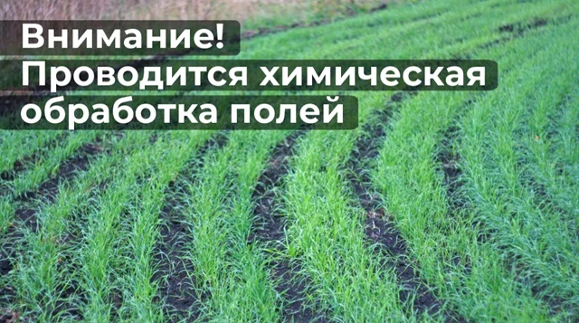 Уважаемые жители Дмитриевского сельсовета!