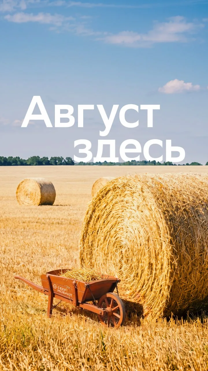 Мы так хотим, чтобы август не заканчивался ☀️

Поэтому запечатлели его на новых заставках для телефо