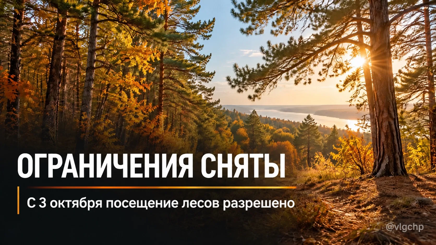 🌲 С 3 октября жители Волгоградской области смогут снова посещать леса без действовавши...