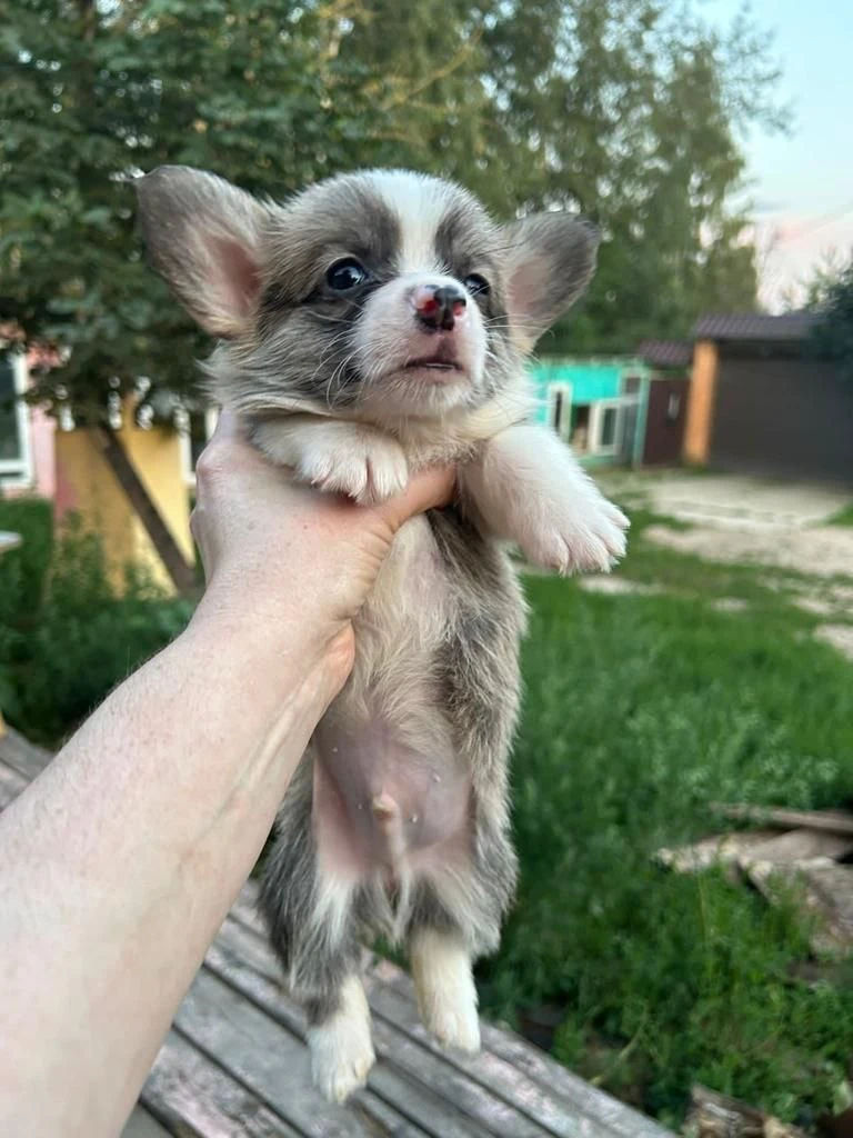 Малыш ❤️