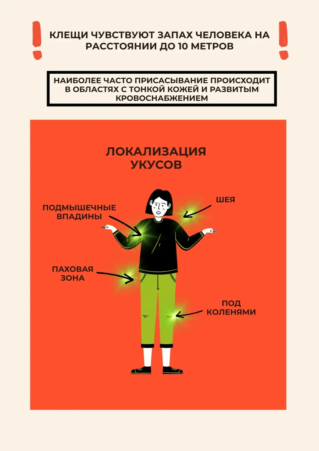 🌿 С приходом весны просыпается не только природа, но и клещи. С наступлением положител...