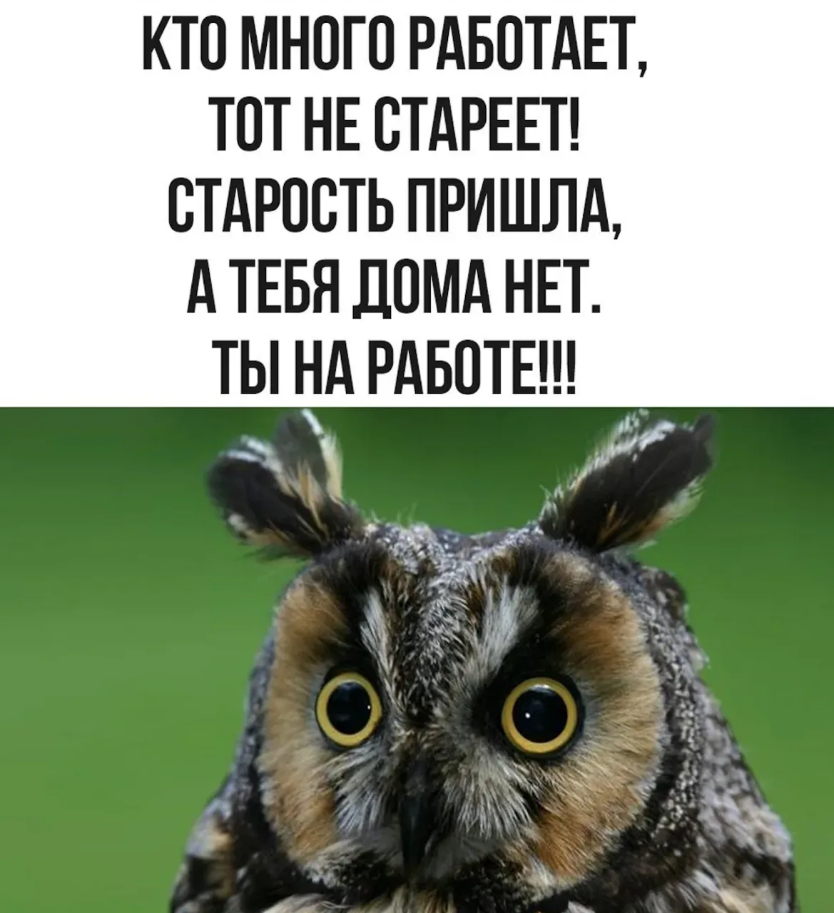 КОГДА ХОТЕЛА БЫТЬ БОГАТОЙ И УСПЕШНОЙ, НО СТАЛА ПРОСТО БЕССМЕРНОЙ И БЕШЕНОЙ СОВОЙ!