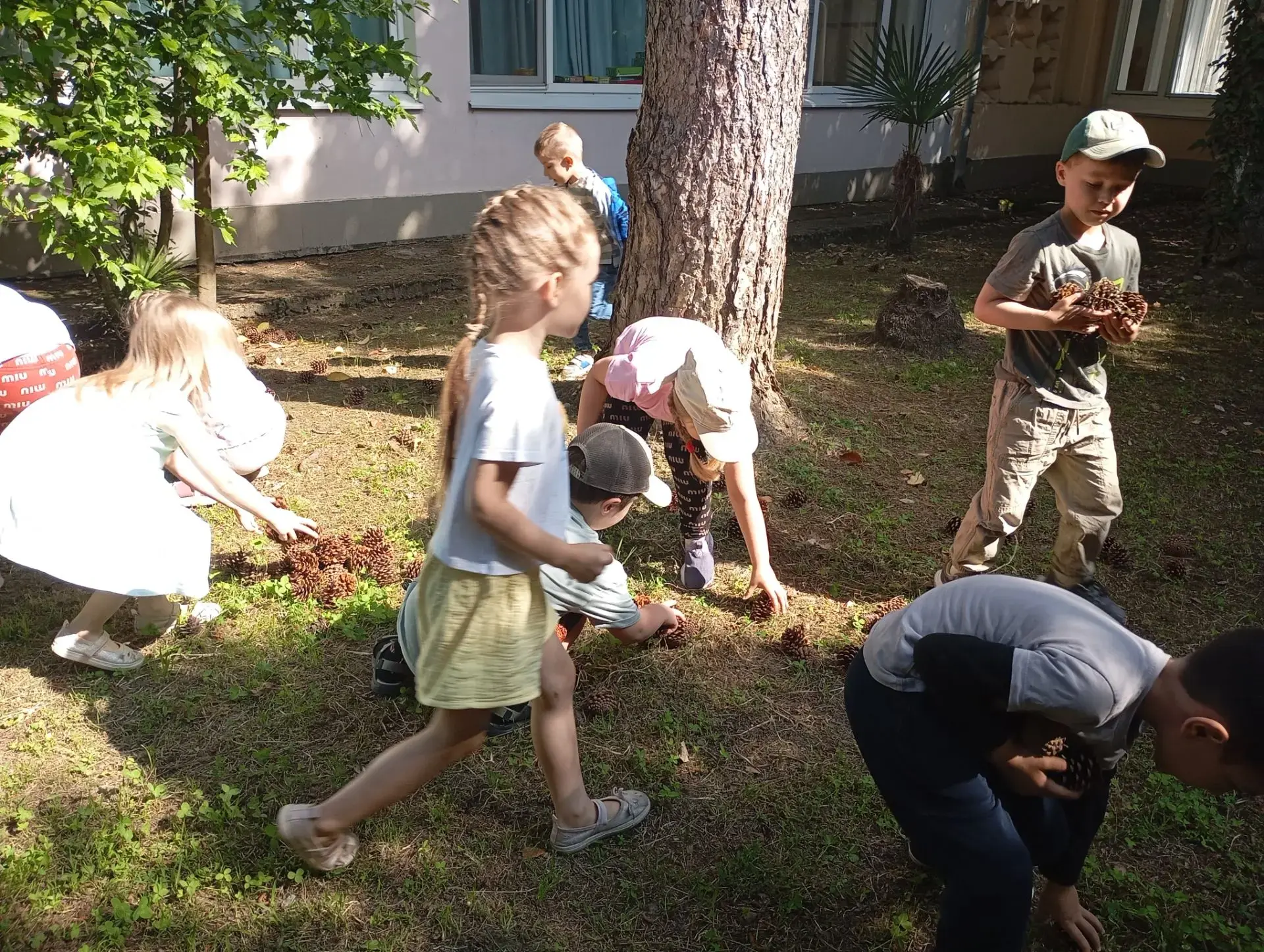 🌿 Маленькие экогерои в деле! 🌿

Ребята из группы №10 не просто гуляли — они стали настоящими помощ