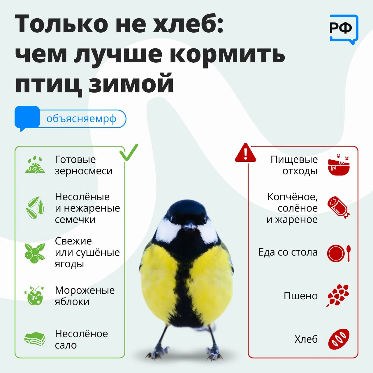 🐦Ударили морозы! Сделайте доброе дело: помогите птицам пережить холода.