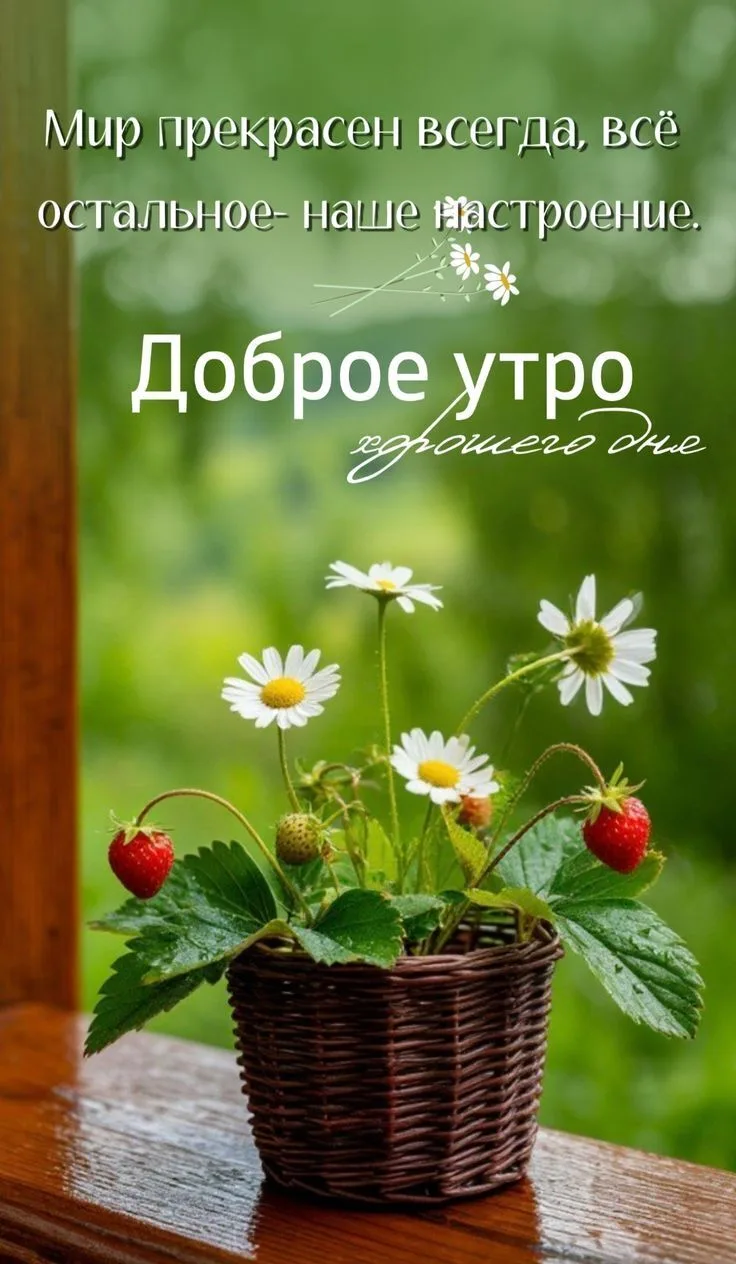 Открытки в ТГ
Открытки в МАХ