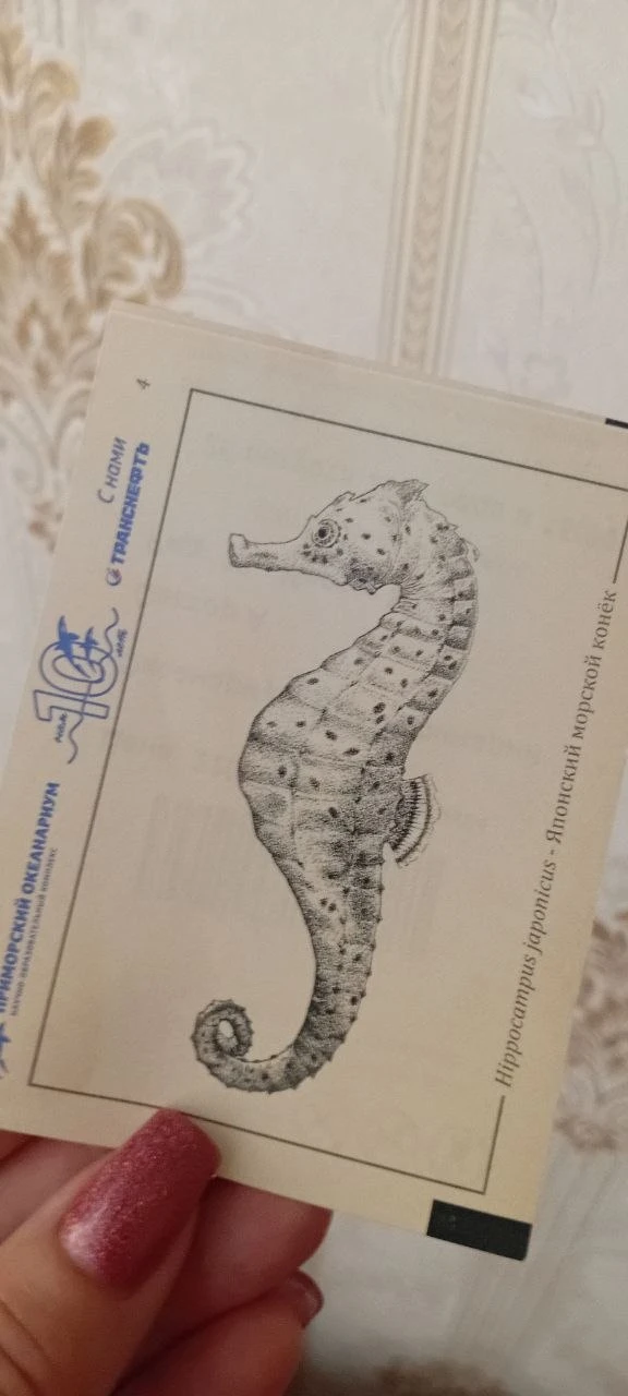 Я уже несколько дней во Владивостоке 😁