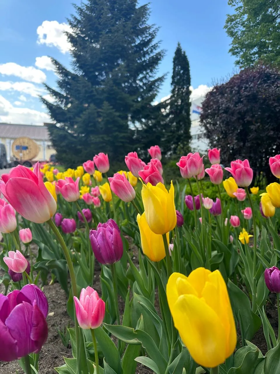 Друзья, всем привет! 👋