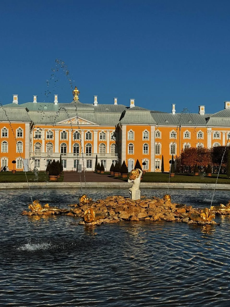 Дворец, где сохранился зал времён Петра I 🏛