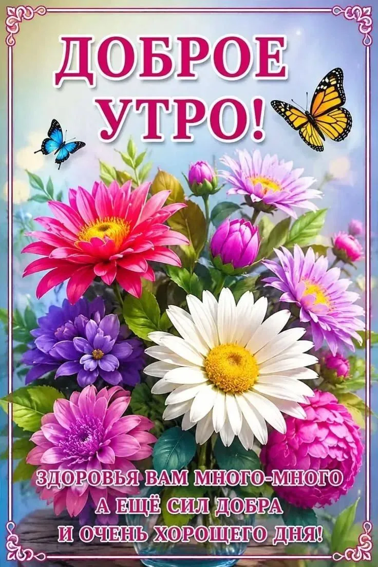 Доброе утро ☕ новый день 💐