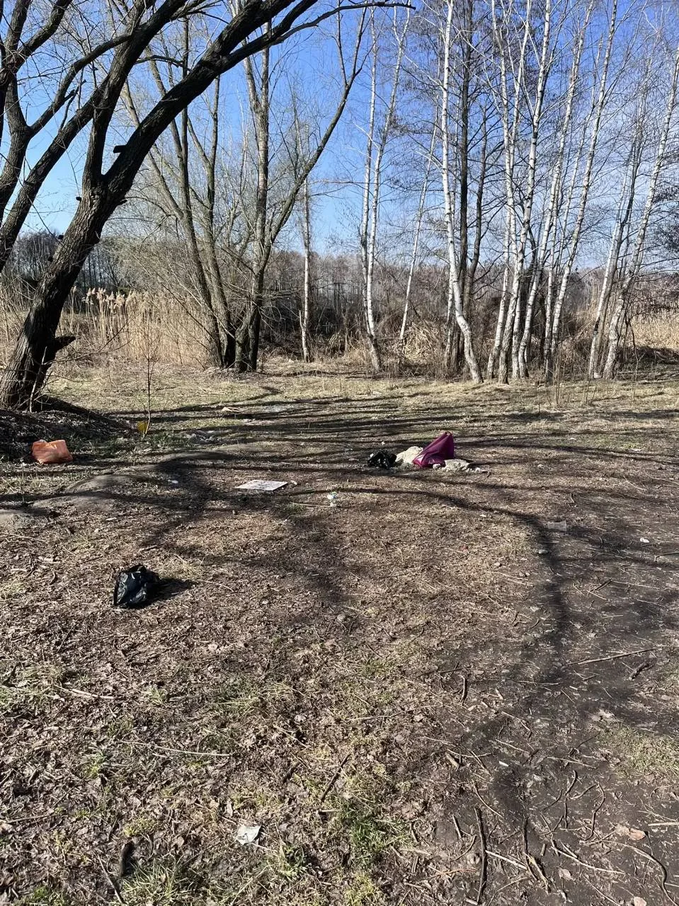 Вроде в одном жк живем, в чем проблема убрать за собой?