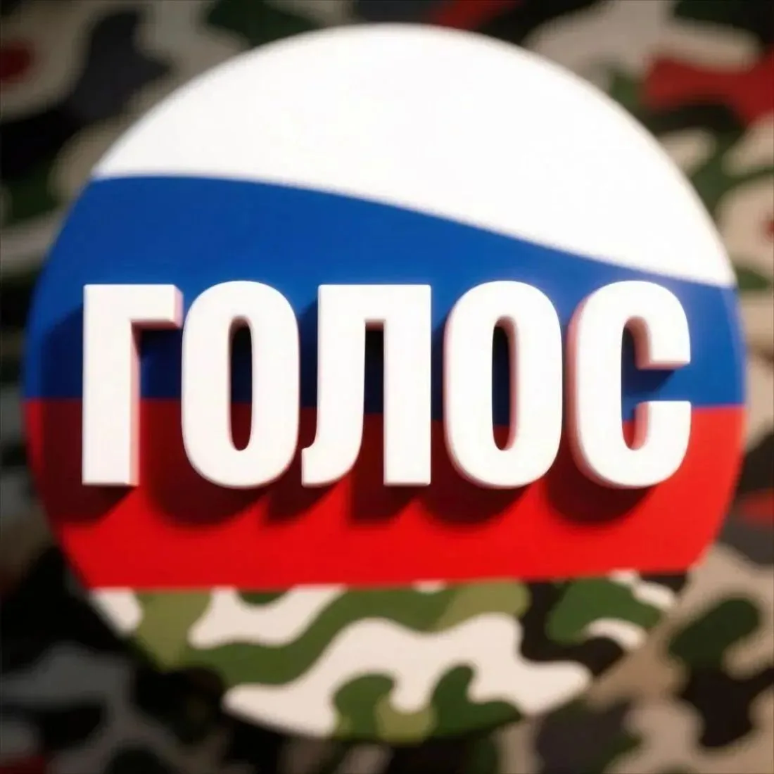 Подпишись на 🇷🇺 ГОЛОС СВО в Мах 👇