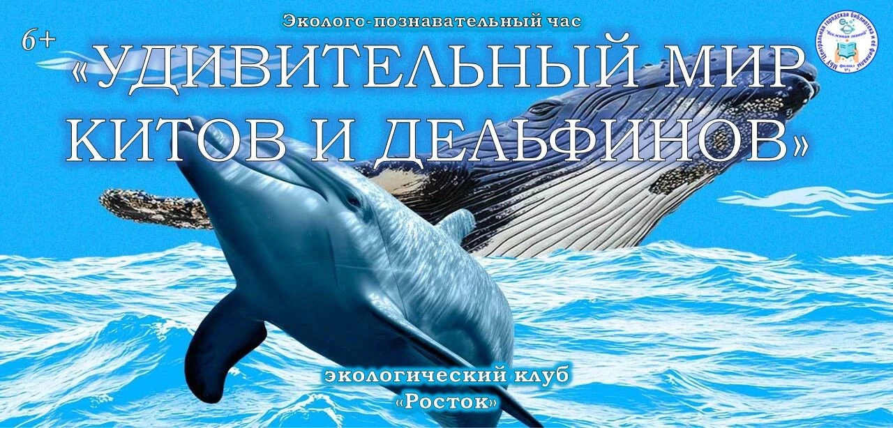 Эколого-познавательный час «Удивительный мир китов и дельфинов» 6+

23 июля в библиотеке-филиале №3 