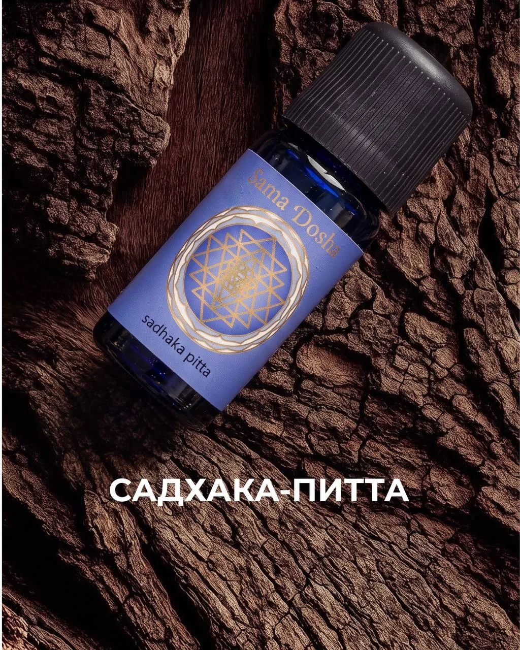 САДХАКА-ПИТТА