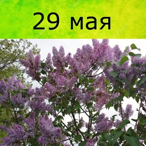 🗓 29 мая – отмечаются праздники