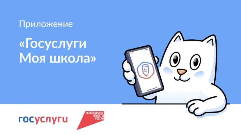 Разбираться в новом приложении «Госуслуги Моя Школа» методом тыка — долго и нервно. Мы ...