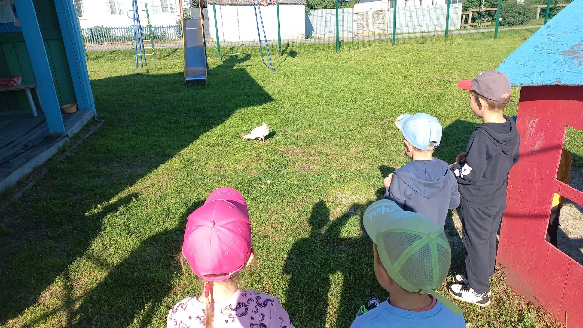 Доброе утро 🌞
У нас сегодня случилось чудо!
К нам в детский сад пришла курица 🐔 
Восторгу детей не