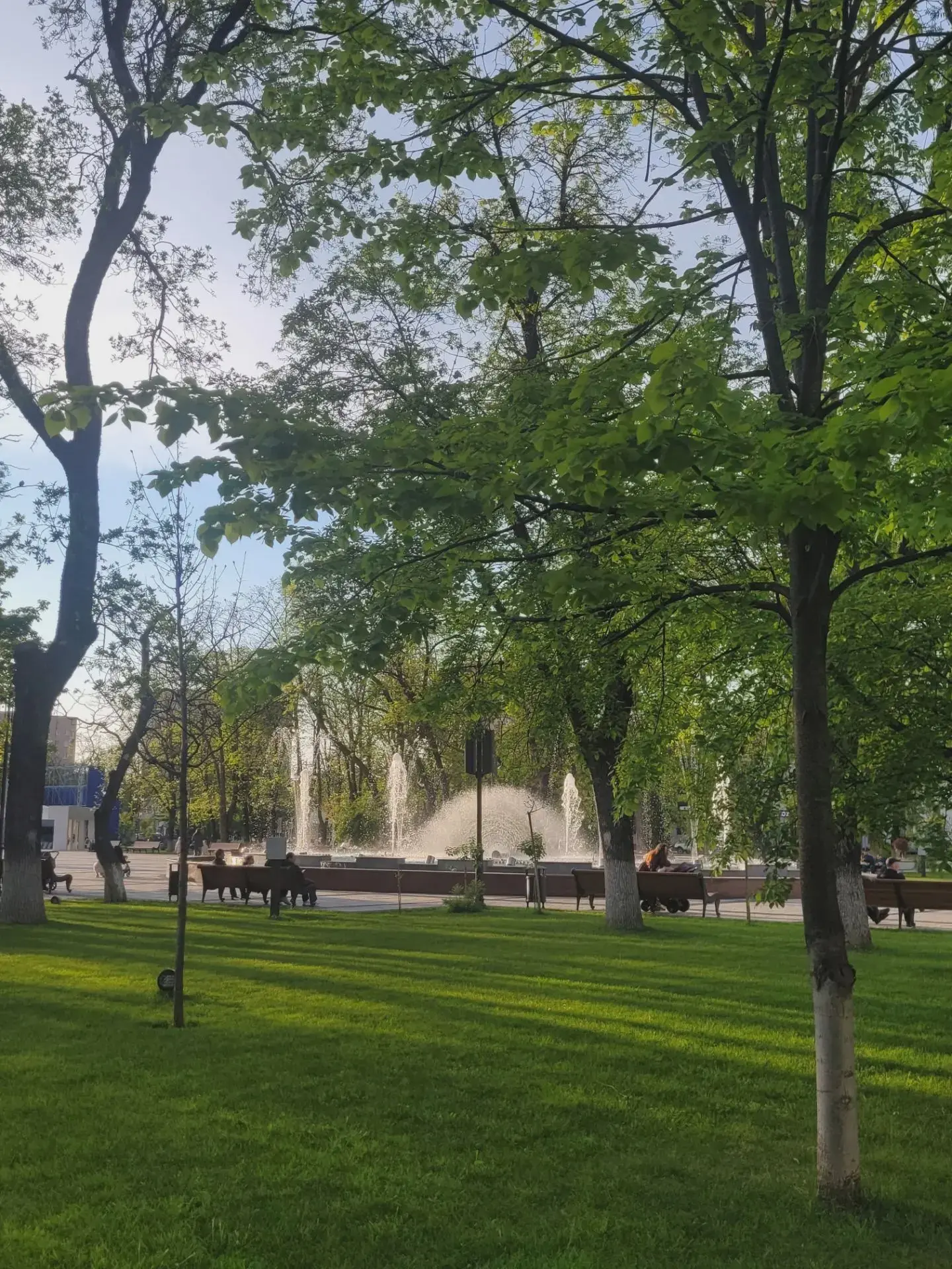 ☁️ На неделе в столице Адыгеи станет холоднее