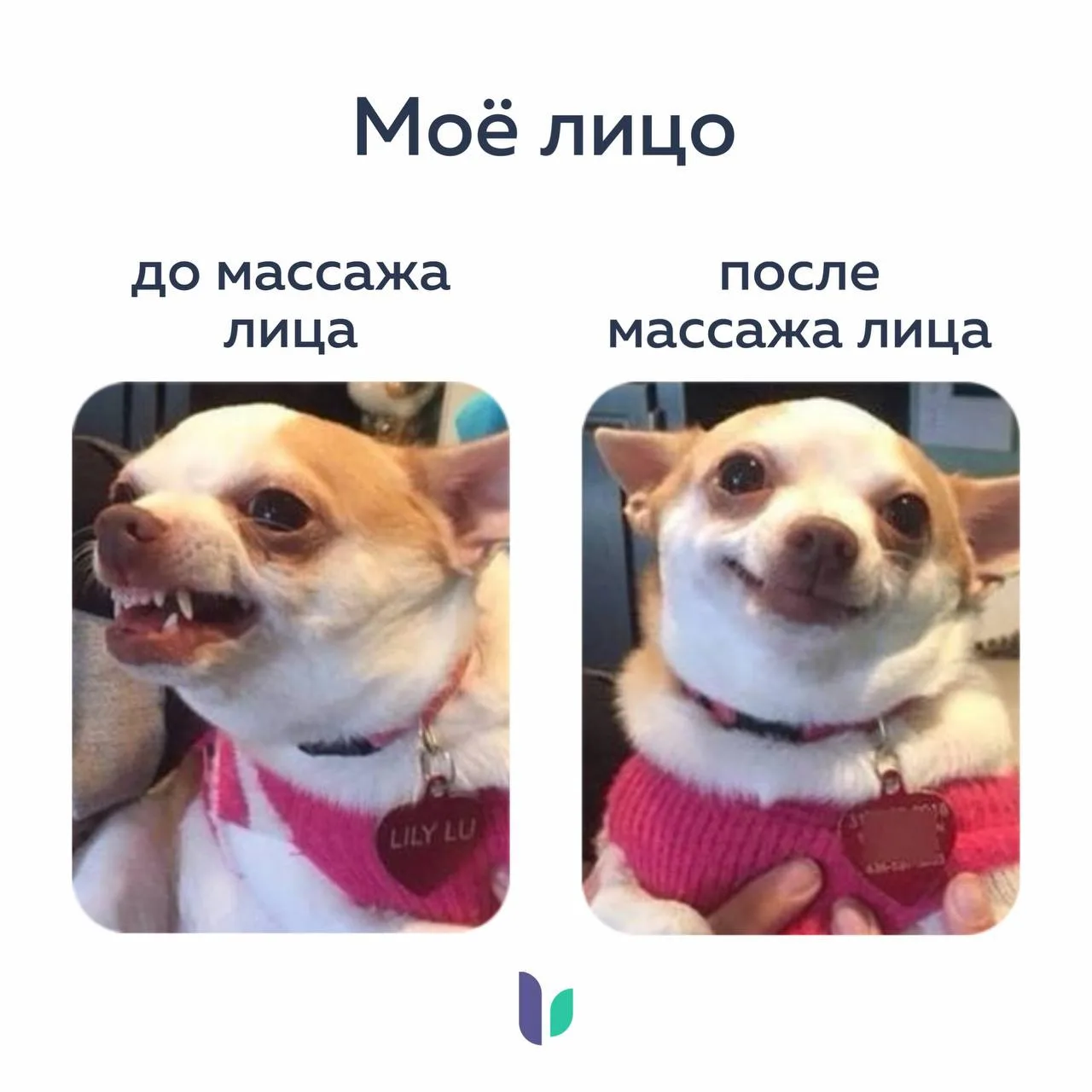 Изображение 1 к публикации «Ревитоника»
