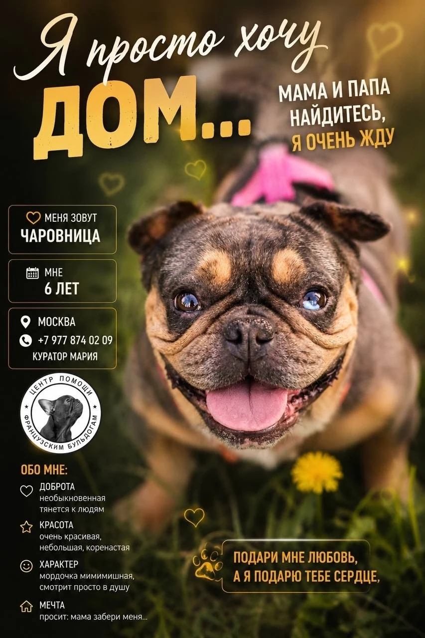 Срочно нужен дом !
vk.ru/wall-144285450_398248